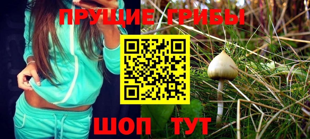 Псилоцибиновые грибы MAGIC MUSHROOMS Серов
